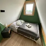 Leluja