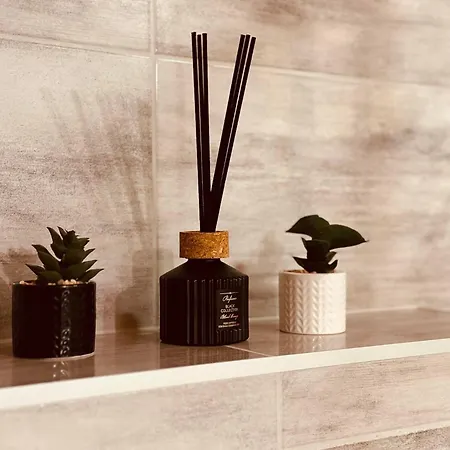 Leluja Apartamento